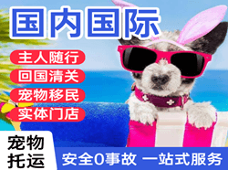 舟山航空托运国际宠物托运 【国